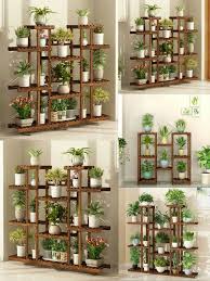 House Plants Decor Plant Decor Indoor