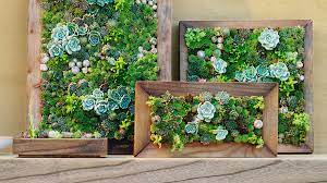Stylish Succulent Garden Projects