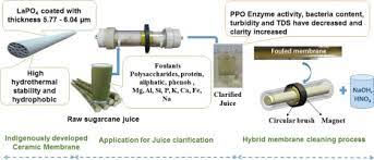 sugarcane juice clarification by