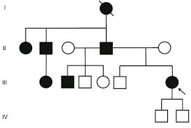 Family Tree Showing Autosomal Dominant Pattern Of