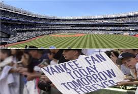 yankees disgraceful acts of fan