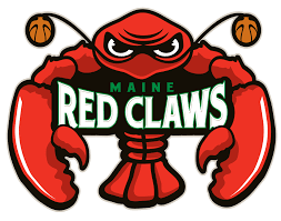 Shop celtics clothing for men, women, kids and pets. Maine Red Claws Wikipedia