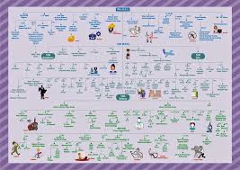 Image Result For After 12 Science Career Chart Career