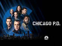Amazon.de: Chicago PD - Season 9 [OV ...