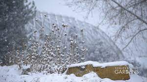 snow at denver botanic gardens you
