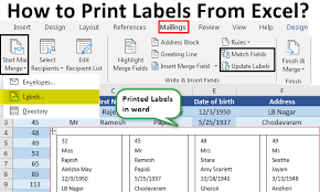 excel spreadsheet