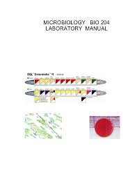 Micro Lab Book 07