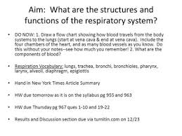 30 1 Respiratory Functions Ppt Video Online Download