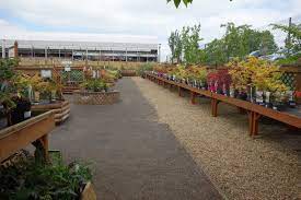 buckingham garden centre
