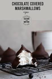 chocolate coated marshmallow treats
