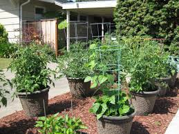 Easy Vertical Gardening Ideas For