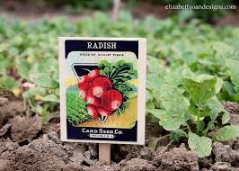 Vintage Seed Packet Plant Markers