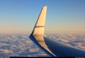 what are the types of aircraft winglets