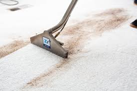 zerorez carpet cleaning chattanooga 50