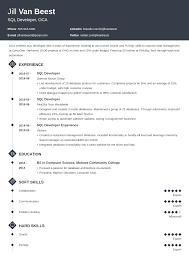 sql developer resume sle 20