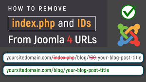 how to remove index php and number ids