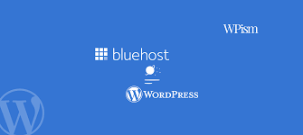 bluehost wordpress hosting review 2024
