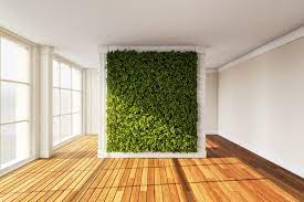 breathtaking living wall designs for
