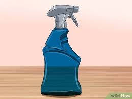 to clean vomit out of carpets and rugs
