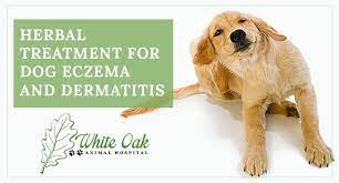 dog eczema dermais naturally