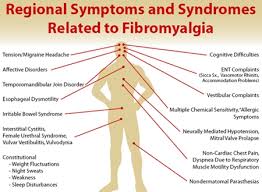 Difference Between Fibromyalgia And Ms Difference Between