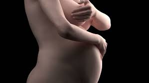 Image result for pregnancy-naked