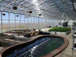 an aquaponics greenhouse
