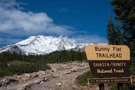 Mount Shasta summit climb of Avalanche Gulch — International Alpine Guides