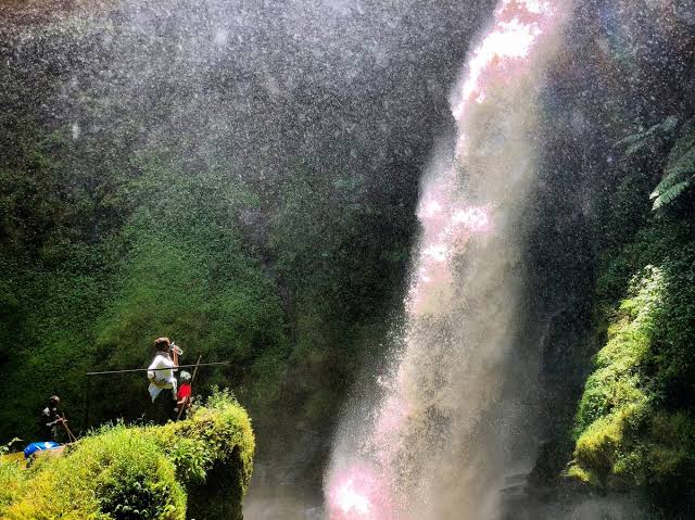Kamiranzovu Swamp Trail in Nyungwe Forest National Park