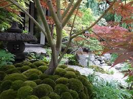 Japanese Gardens Learn What You Need