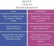 Is peppermint and mint the same?