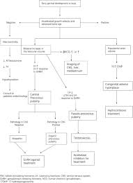 Explain With The Help Of Flowchart That The Onset Of Puberty