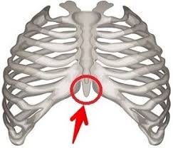 Discomfort or pain under the rib cage can be due to different causes depending on whether it is on the right, left or middle. What Is This Bulge I Feel Right In The Centre A Little Bit Under My Rib Cage That Hurts When I Push Down Quora