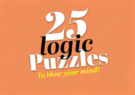 logic puzzles with answers best