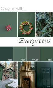 faq evergreens color palette