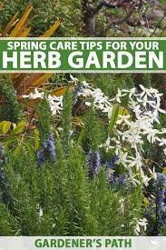 Spring Care Tips For Your Herb Garden