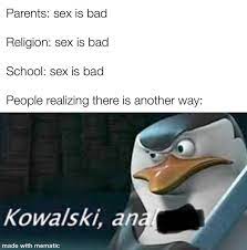 Kowalski, anal. : r/memes