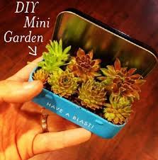 Mint Tin Turned Into A Mini Garden Htgt