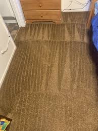 sierra carpet cleaning 137 mountain