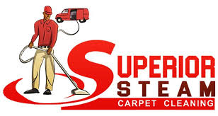professional carpet cleaning in los