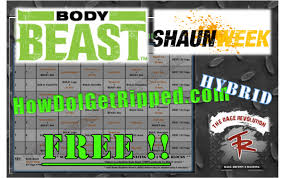 free body beast shaun week hybrid