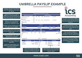 Get fast, free insurance quotes today. Ics Umbrella Payslip Explained Ics Accounting