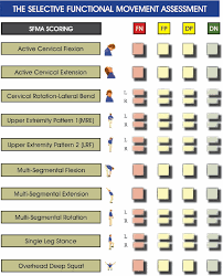 Functional Movement Assessment Musculoskeletal