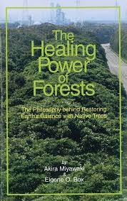 The Healing Power Of Forests gambar png