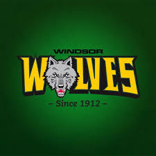 windsor wolves rugby league club by