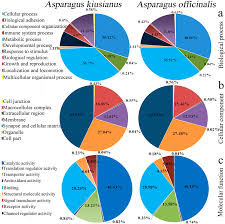 Pie Chart Of Gene Ontology Go Analysis Of Asparagus