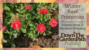 Winter Rose Protection Down 2 Earth