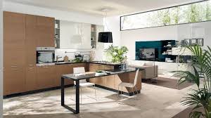 Contemporary Kitchens For Large And