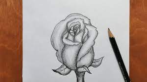 how to draw a rose step by step pencil