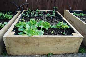 raised beds pod easy edible gardening